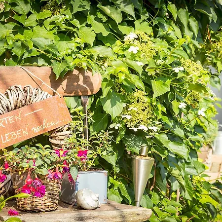 شقة Auszeit ماركدورف