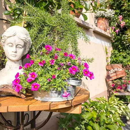 Auszeit شقة ماركدورف